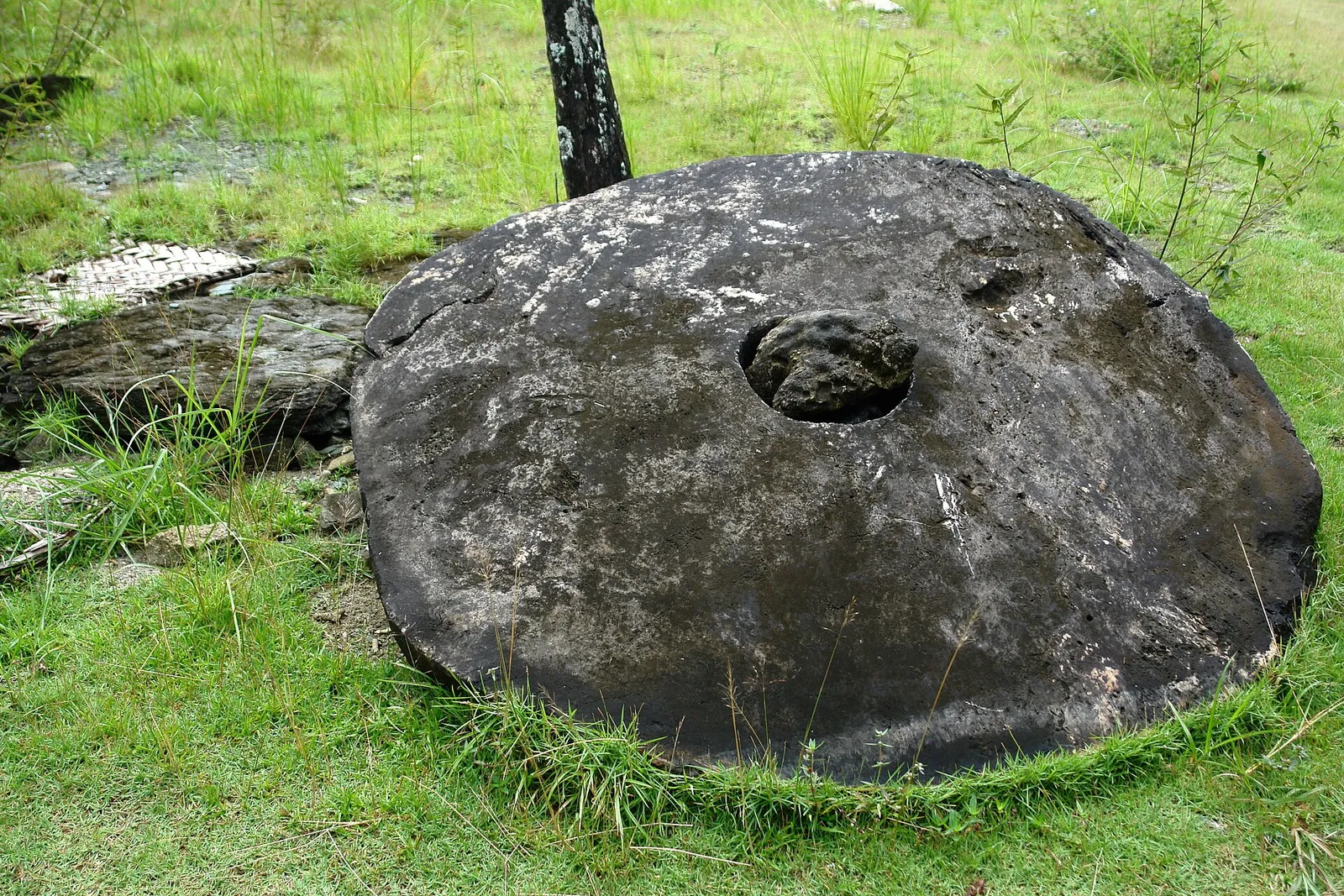 Um grande disco de pedra com um furo no meio, apoiado no chão entre a vegetação.