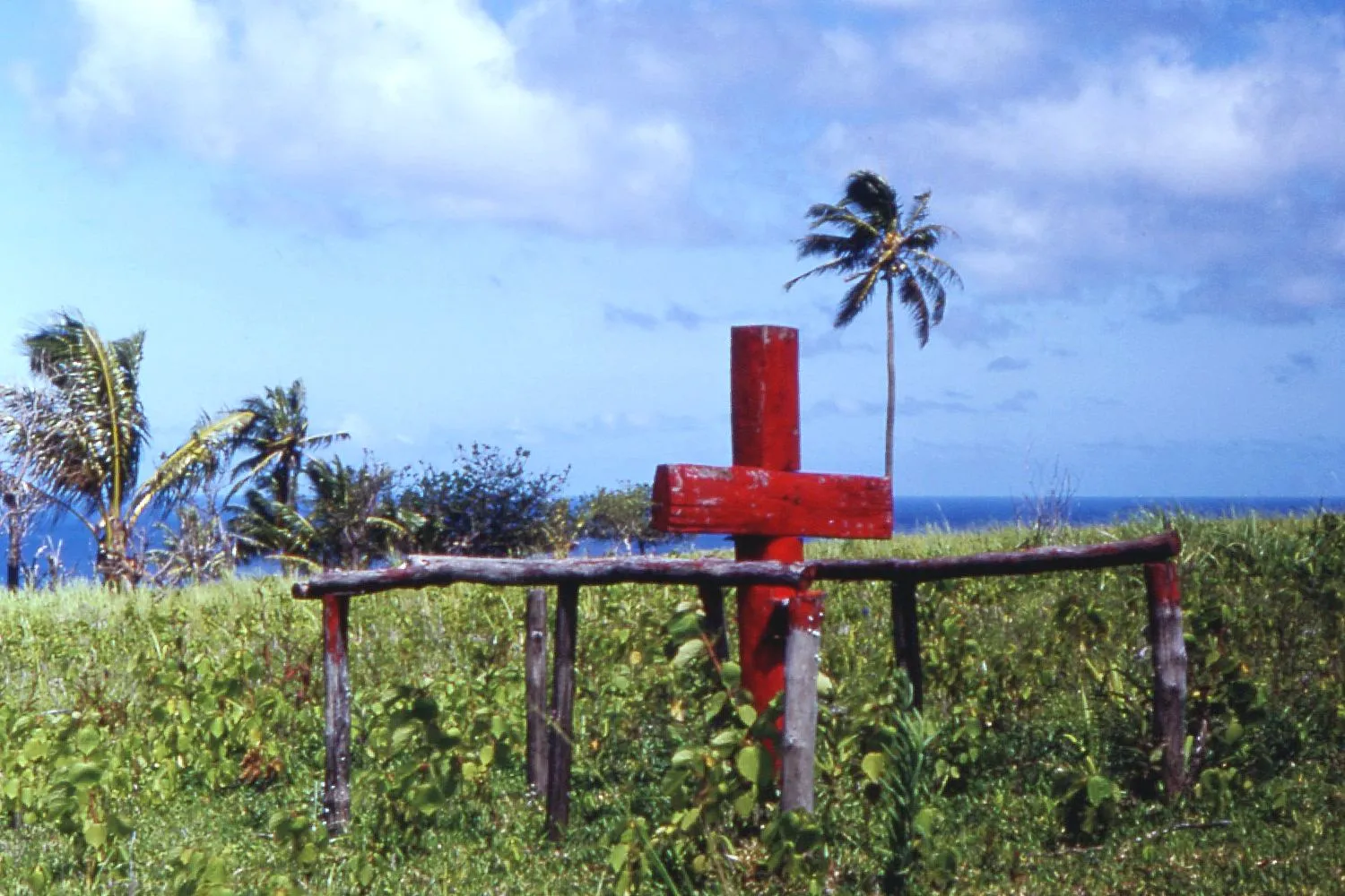 Uma cruz de madeira vermelha numa clareira entre árvores tropicais.