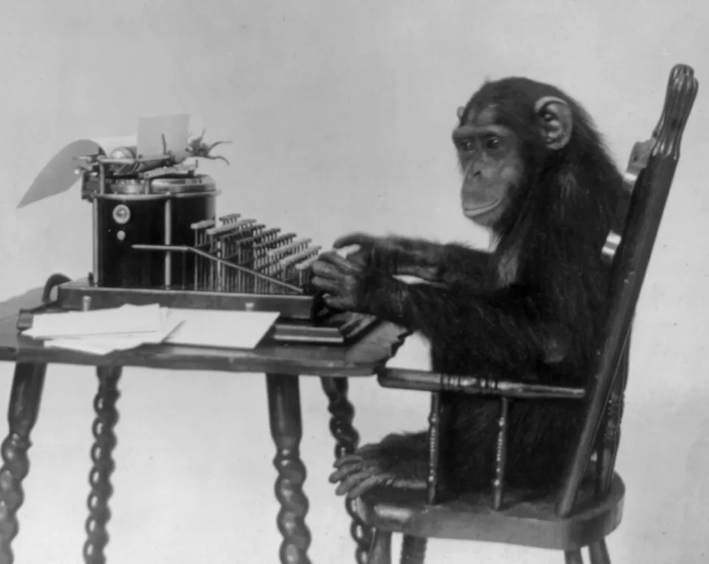 Um chimpanzé sentado numa cadeira diante de uma máquina de escrever, com as mãos nas teclas.